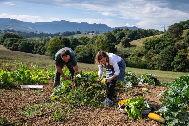 Huerta de 'Narbasu' (Asturias).