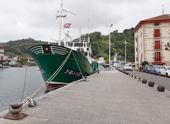 Los barcos de pesca anclan en el centro de Orio, Guipúzcoa.