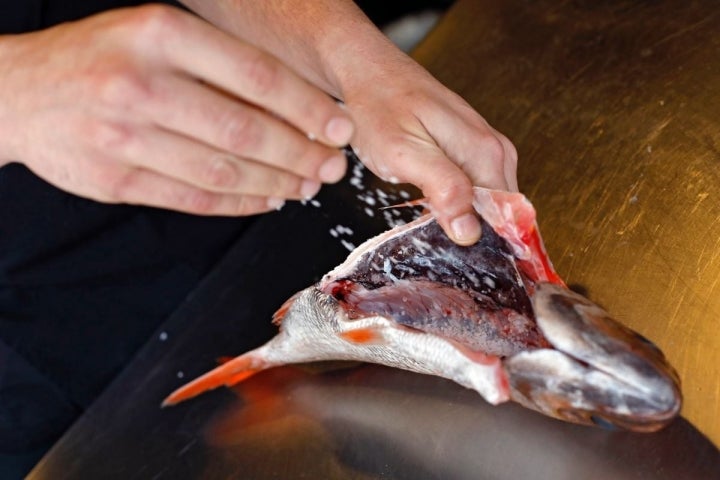 Echando sal al besugo en el interior del pescado en el 'Bodegón Joxe Mari', en Orio (Guipúzcoa).