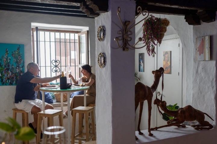 Comer La Cachorra Perdida