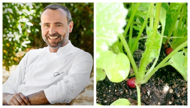 El chef de 'El invernadero', Rodrigo de la Calle. Unos rabanitos de su huerta en Collado Mediano.