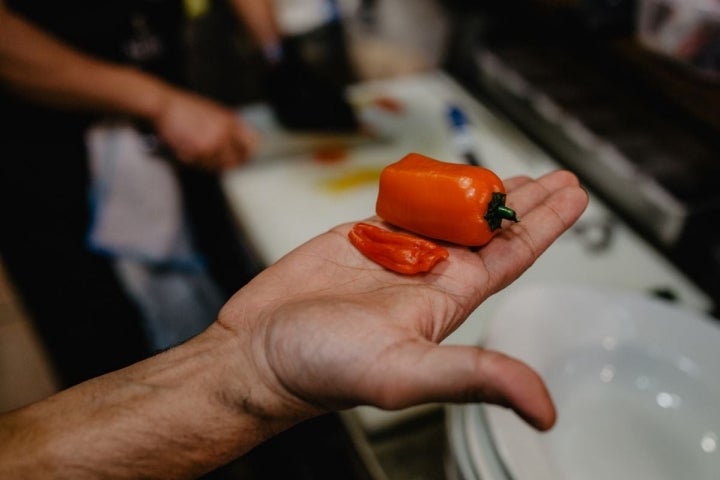 Uno de los rocotos con los que cocinan.