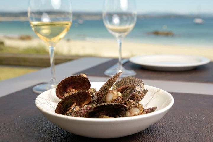 Restaurante Meloxeira Praia zamburiñas