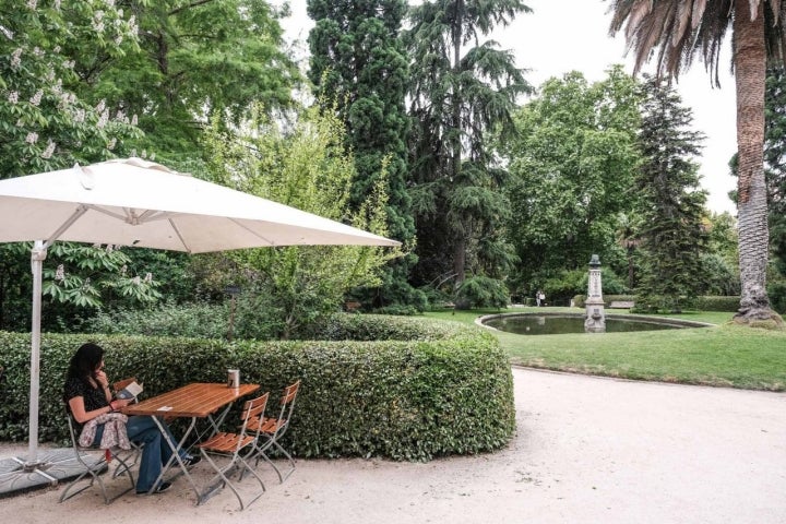 Una mujer está sentada en la terraza del local La Cátedra, del Real Jardín Botánico, leyendo un libro.