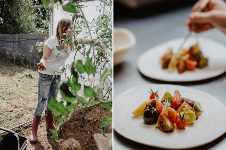 Los tomates, de la huerta a la mesa.