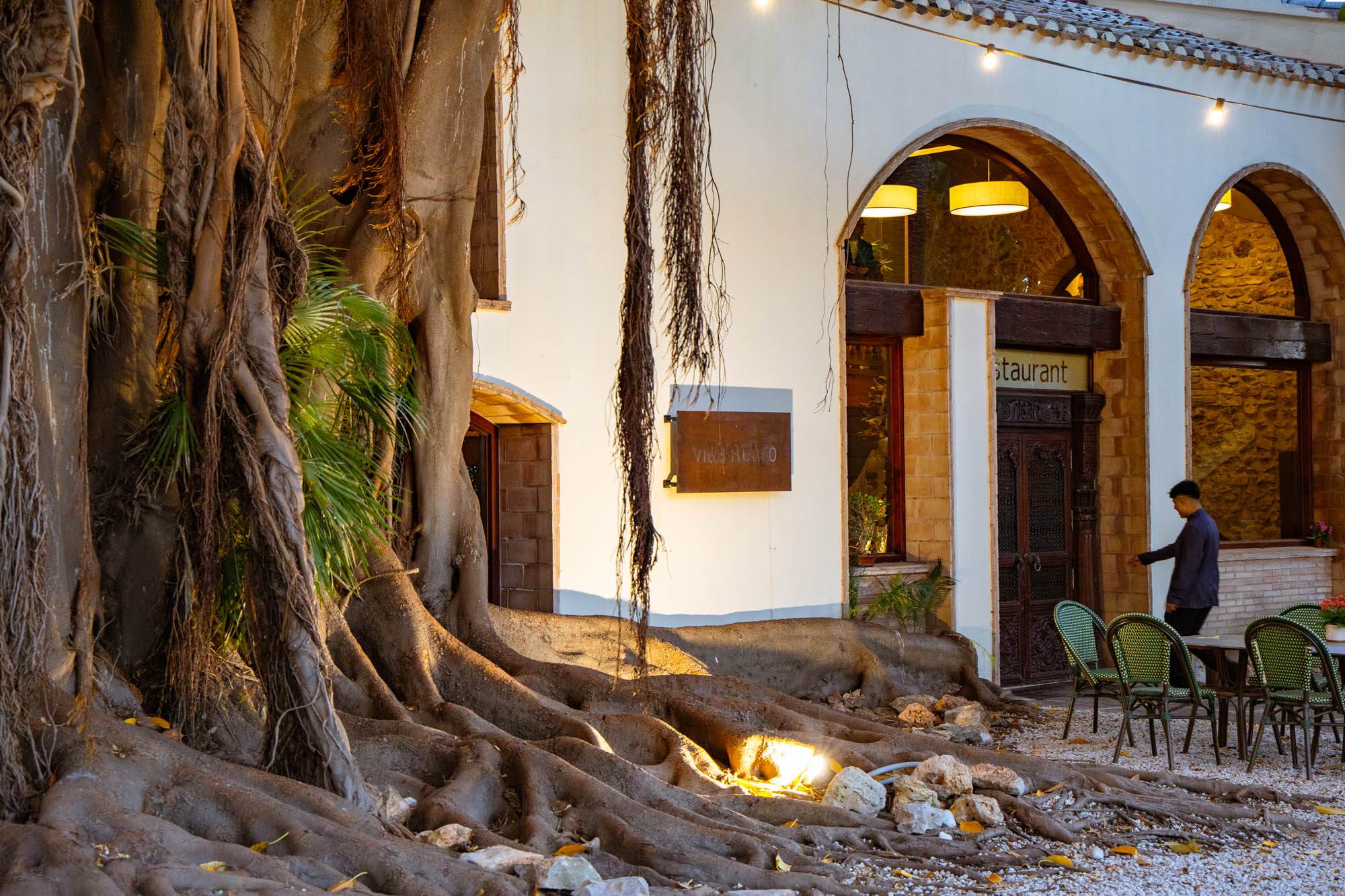 Entrada al restaurante, con dos Soles Repsol, con el ficus tricentenario en primer plano.