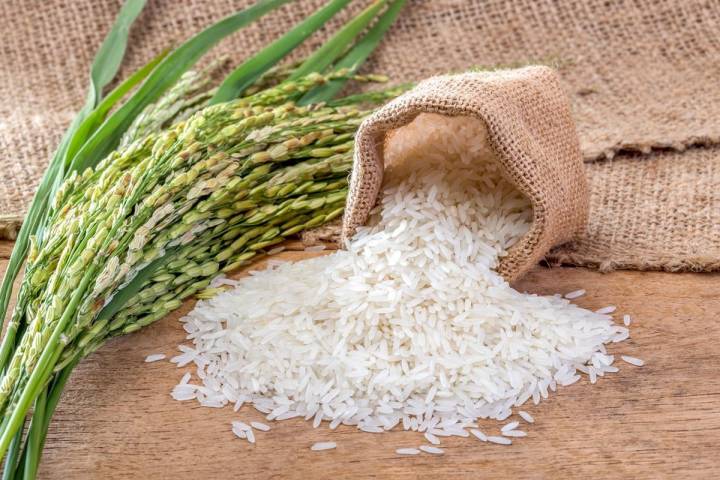 El arroz es un ingrediente cotidiano en América. Foto: Shutterstock.