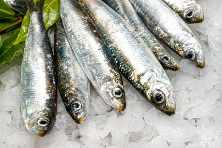 Las sardinas, otro producto rico en vitamina D. Foto: Shutterstock
