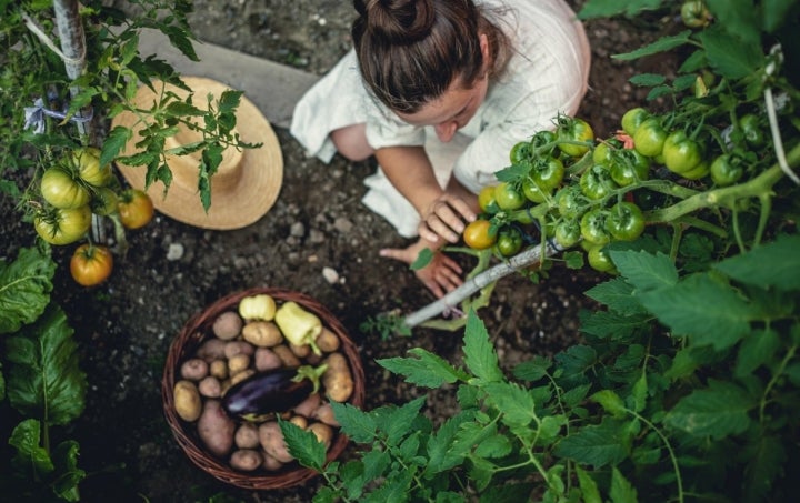 El tomate y la patata siempre hacen un buen matrimonio.