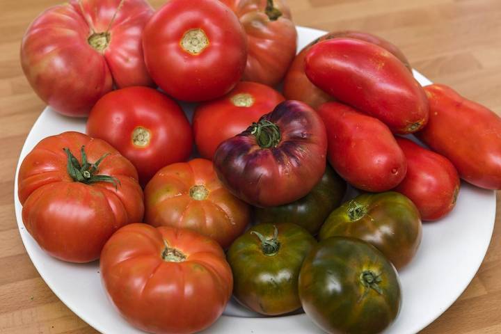 Distintas variedades de tomate