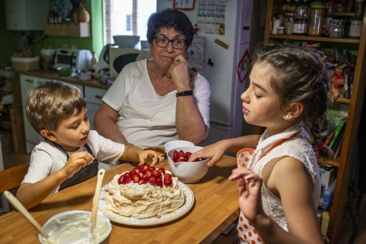 terminando pavlova