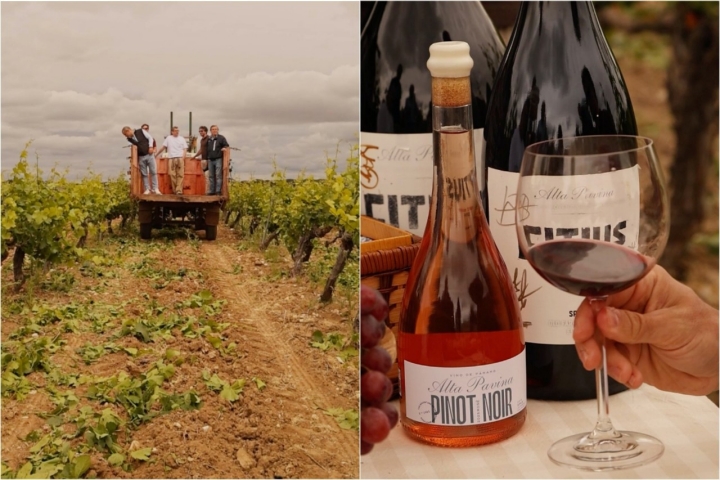 Tractor y vinos de bodega Alta Pavina (Ávila)