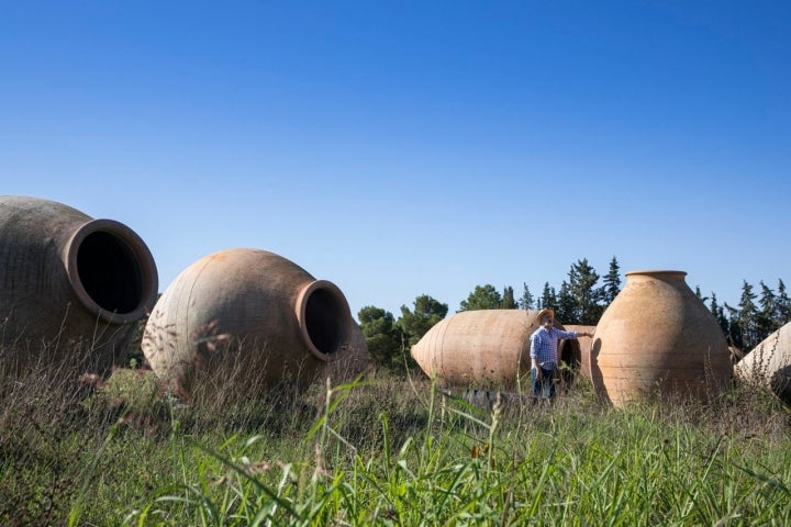 tinajas celler roure