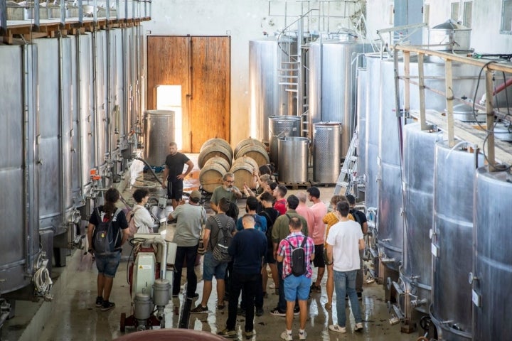 Un grupo de jóvenes sumilleres visita la bodega.