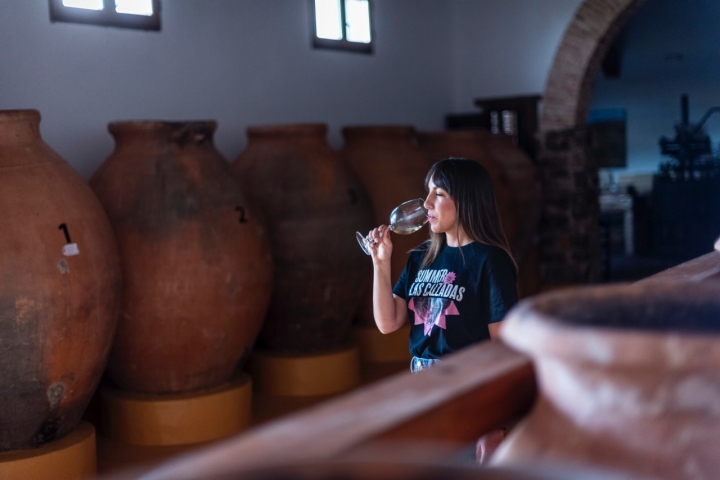 La microoxigenación en tinaja de barro respeta mejor la identidad de la uva y su pureza aromática.