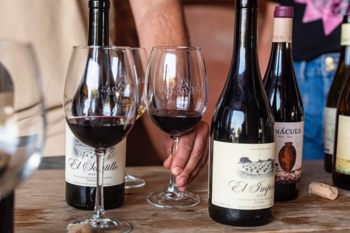 Tinácula, El Santillo y El Imperio, tres de los vinos con altas clasificaciones.