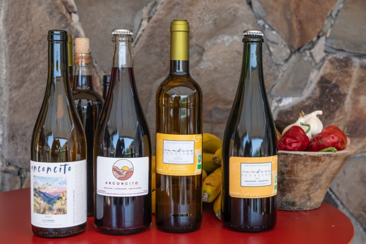 Los vinos naturales que elabora esta bodega.