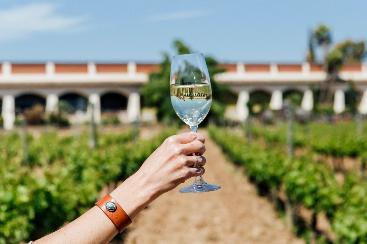 bodega masia vallformosa