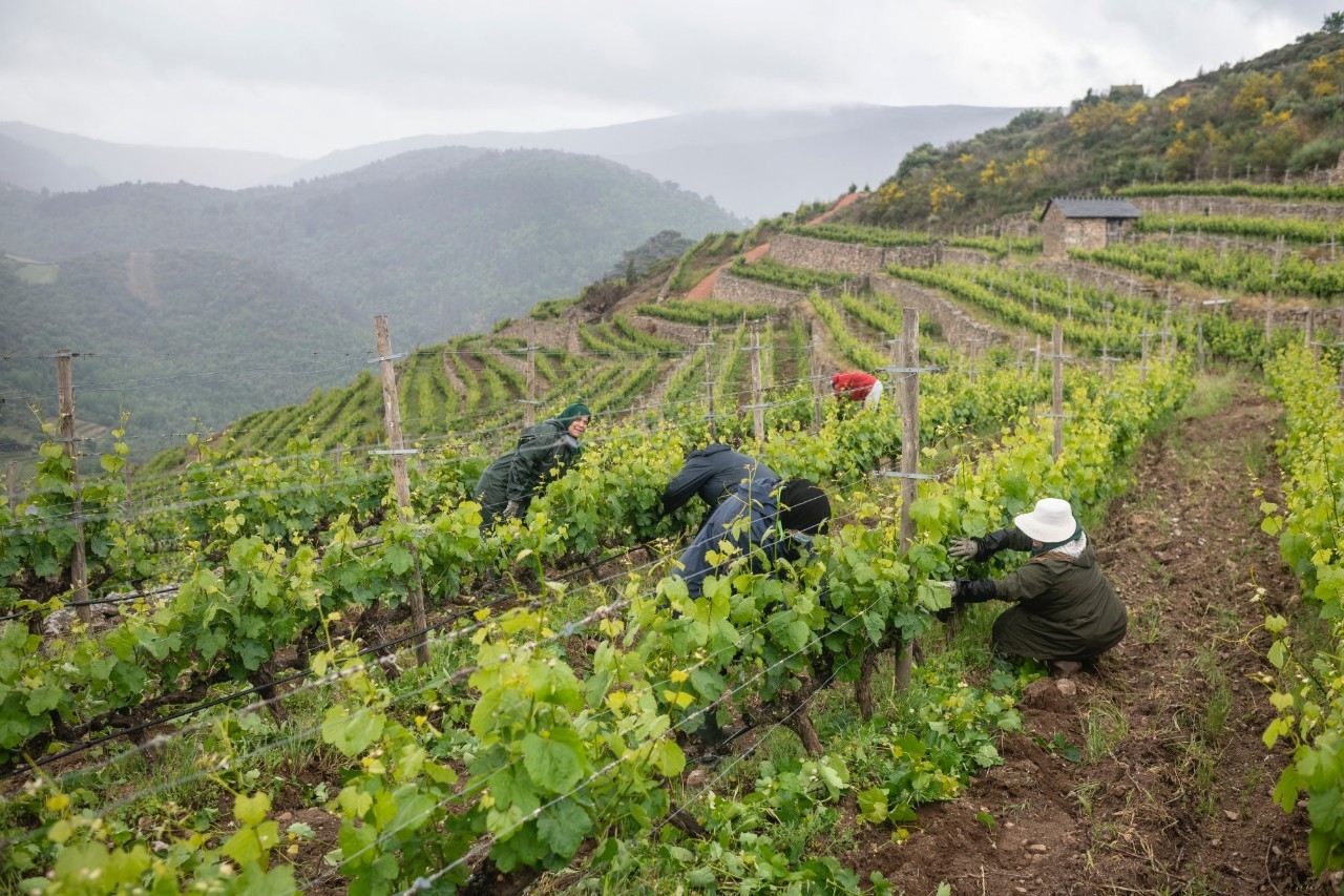 El bodeguero que elevó a lo más alto los vinos gallegos
