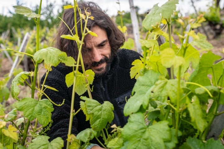 Pablo Blanco, técnico de campo y enólogo de la bodega Rafael Palacios (Ourense).