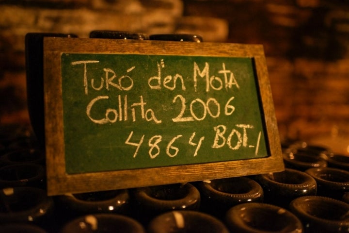 Bodega Recaredo: Turó d'en Mota