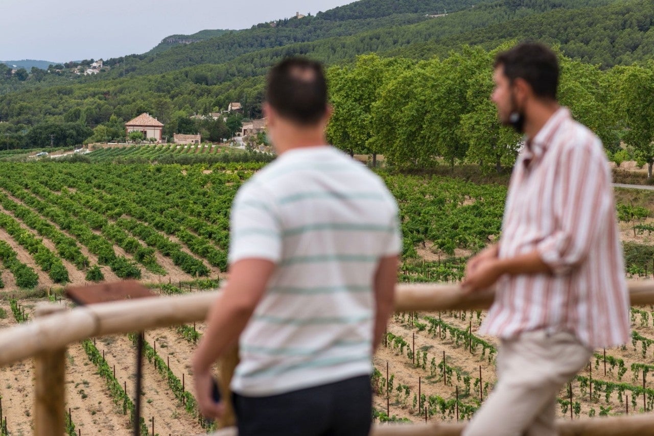 Bodega MontRubí: vistas de los viñedos desde un balcón natural