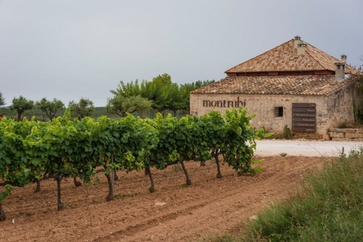 Bodega MontRubí: Fachada de la bodega