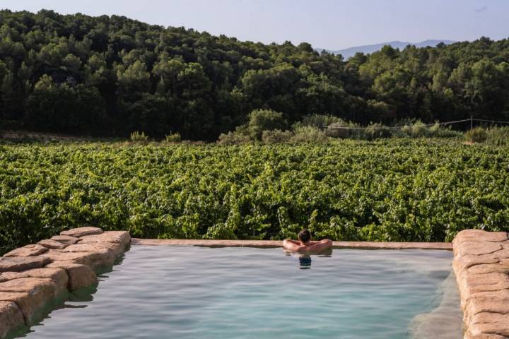 Bodega MontRubí: piscina frente a los viñedos