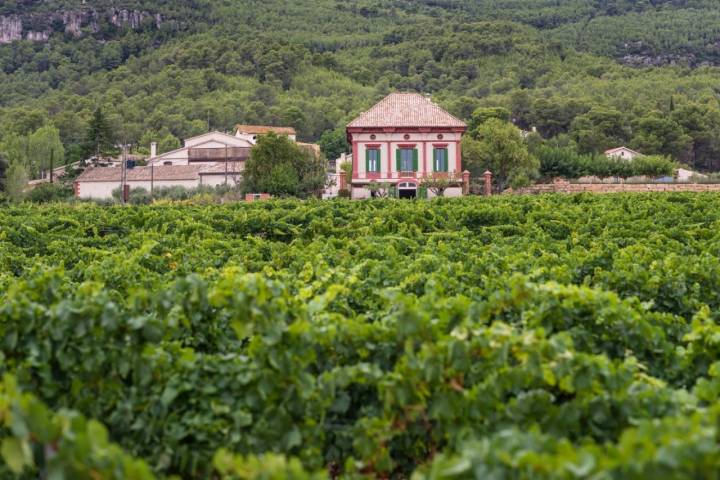 Bodega MontRubí: el chalet (sede del restaurante) con las viñas enfrente