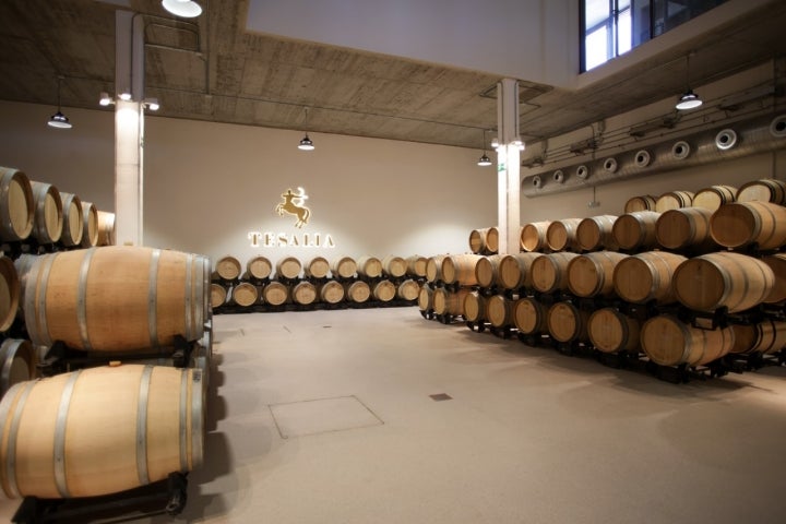 Bodega Tesalia