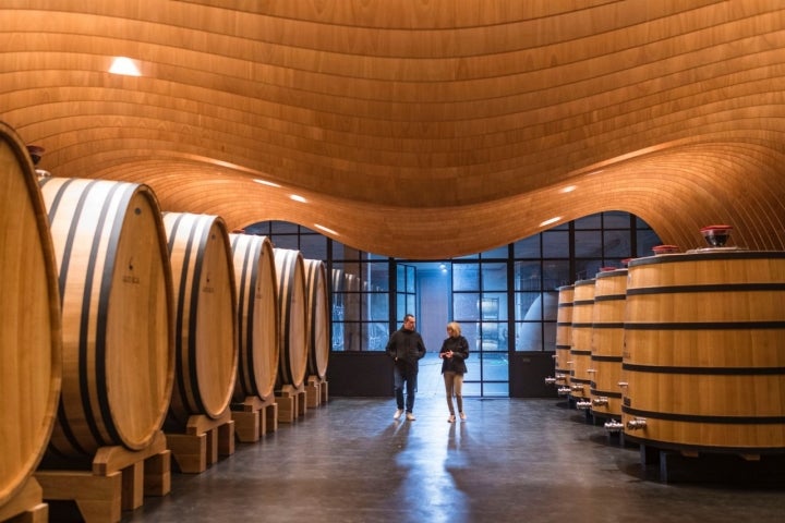 Sala de fudres de la bodega Arzuaga