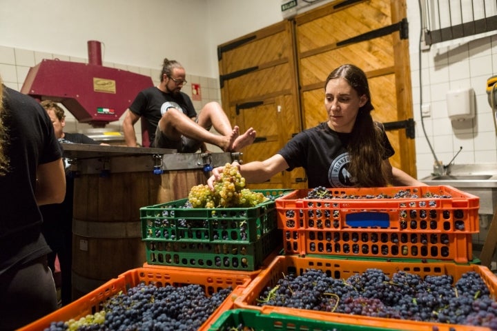 Bodegas Frontonio