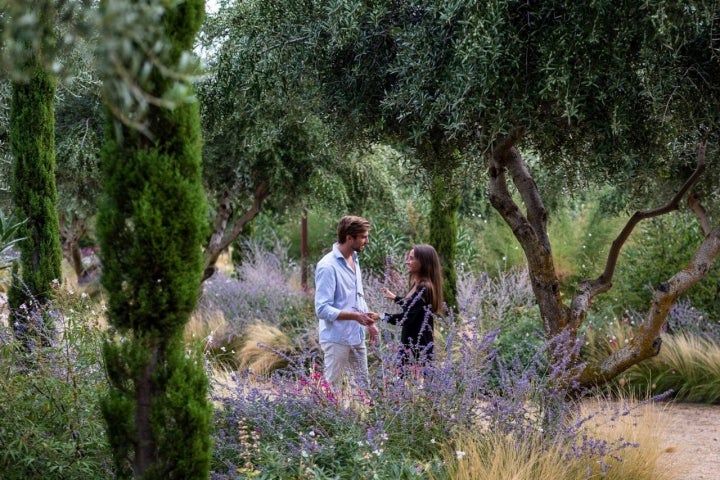 Jardín Lavandas Finca El Regajal