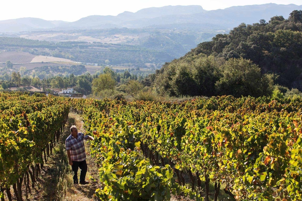 El otoño se marida con la Serranía de Ronda