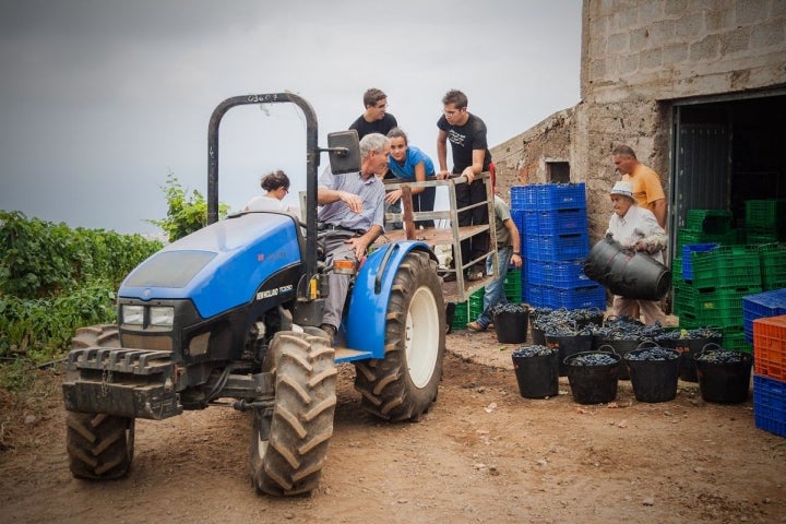 El primer vino de la bodega lo sacó al mercado el padre, aunque desde 1980 embotellan vino.