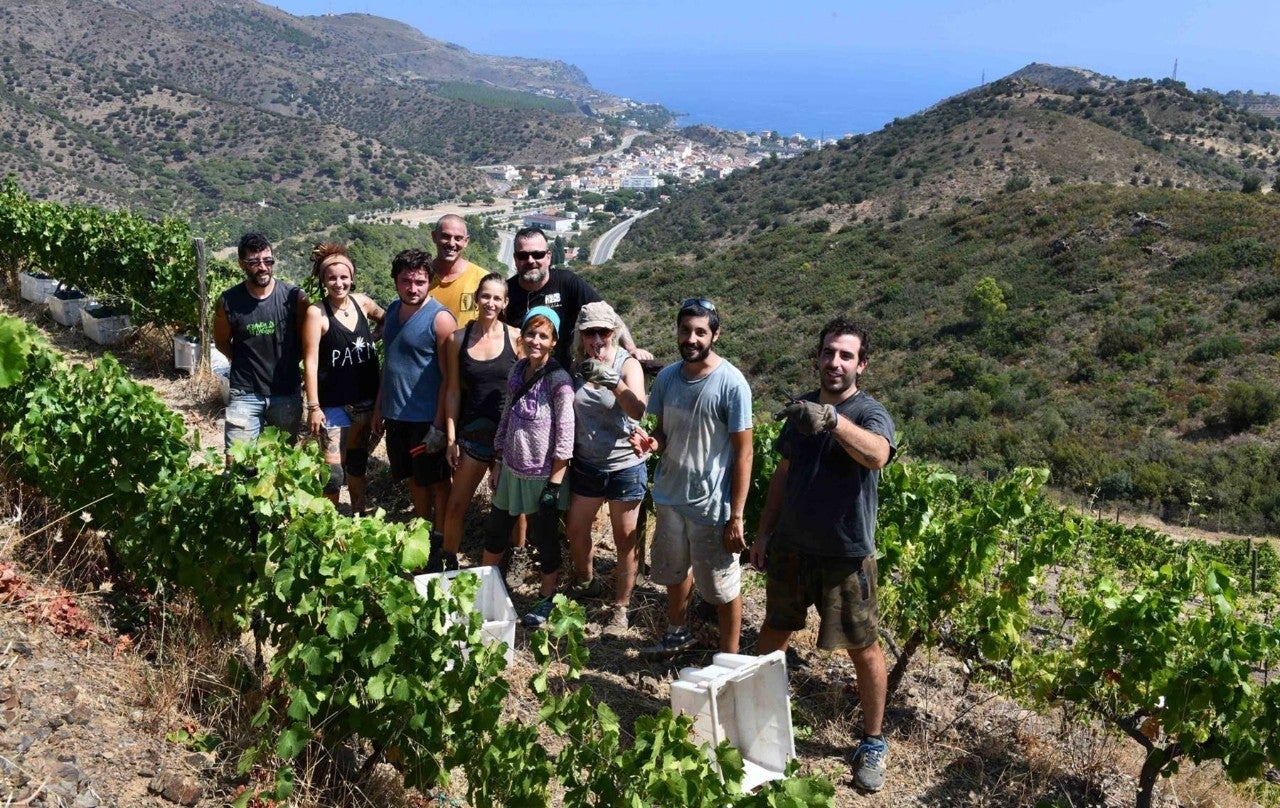 Bodegas donde la fórmula paseo y cata ya es historia