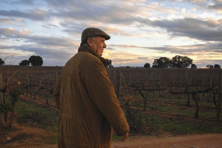 Carlos Falcó, junto a los viñedos.