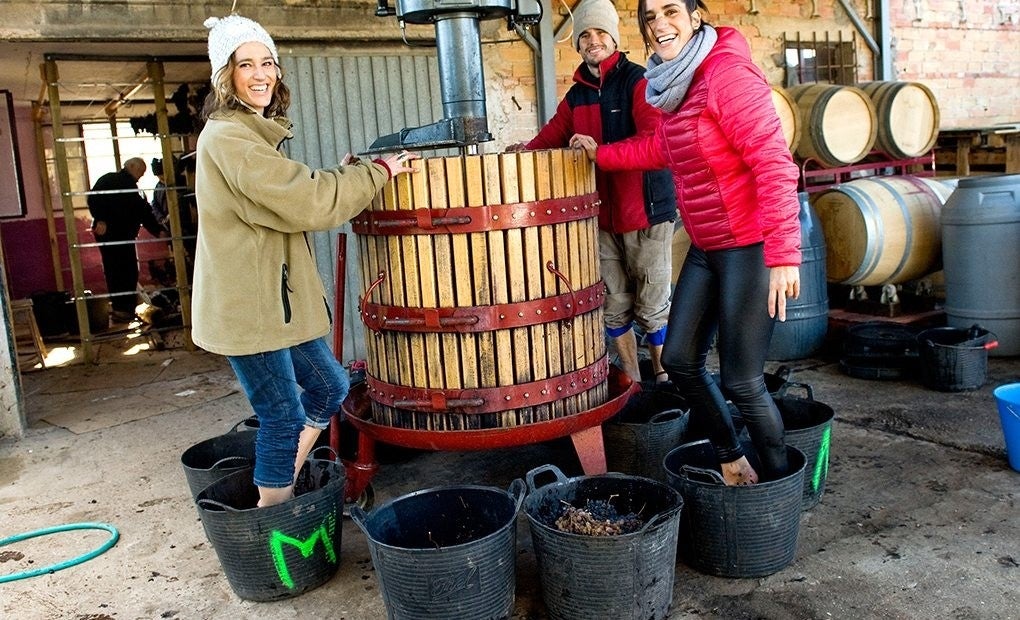 Vino supurao con sabor a terroir