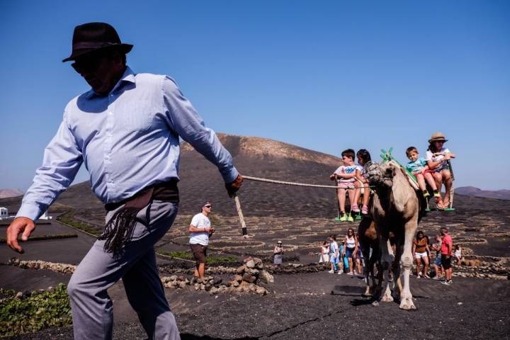 Vinos en Lanzarote: Fiesta de la Vendimia Tradicional en La Geria. Foto: Hugo Palotto