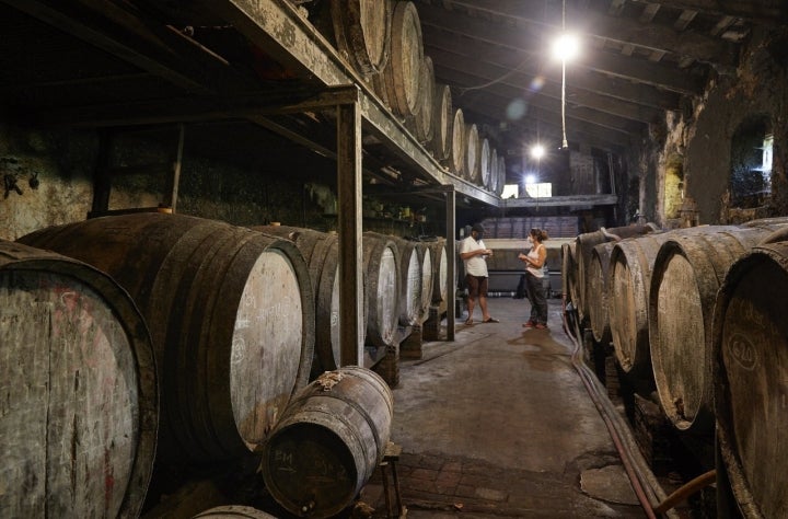 Bodega 'Mas Molla': interior de la bodega