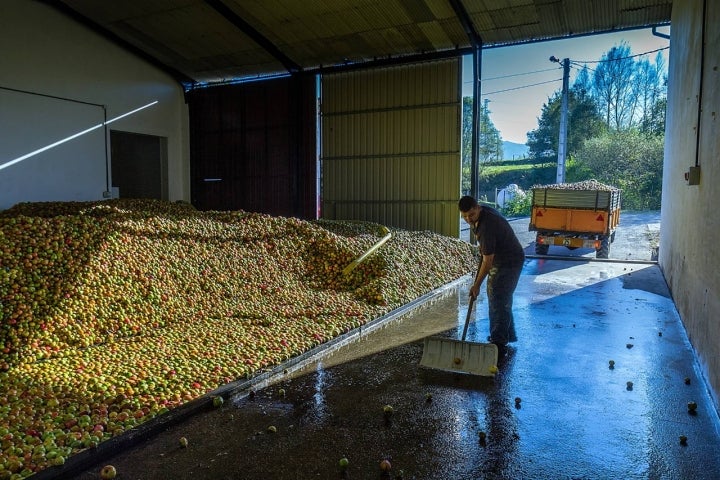 Algunos días se generan hasta 200 kilos de 'magaya'.