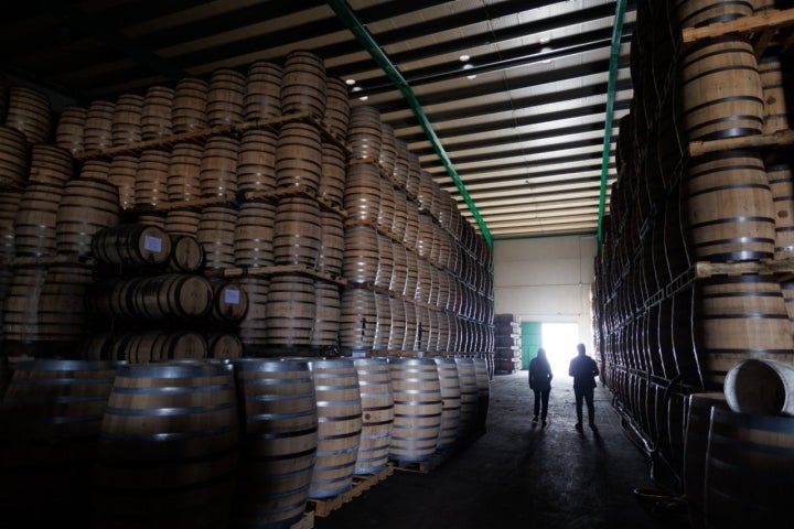 Interior de la bodega Páez Morilla