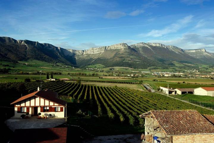 Paisaje de viñedos y montañas de Artomaña Txakolina.