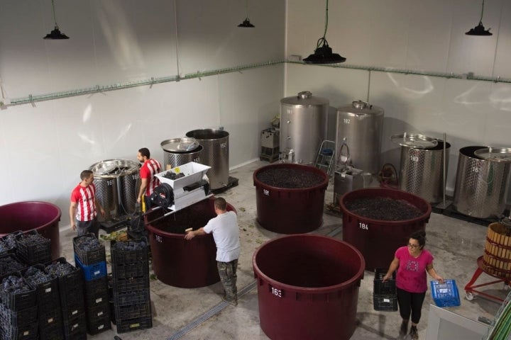 En la nueva bodega de Garage Wine colaboran los mismos que han vuelto de vendimiar.