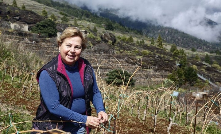 Carmen Gloria Ferrera en su viñedo.