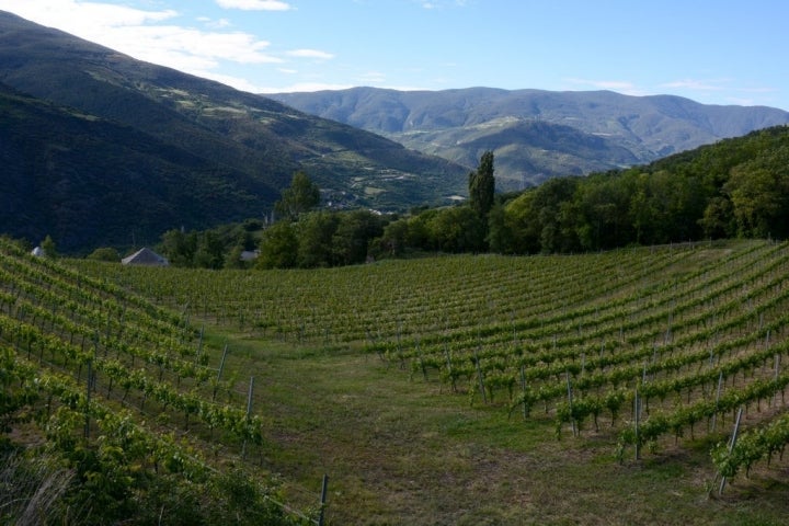 Las bodegas Batlliu de Sort están en Lleida. Un pedazo de Pirineo en una botella de vino. Foto: Batlliu de Sort