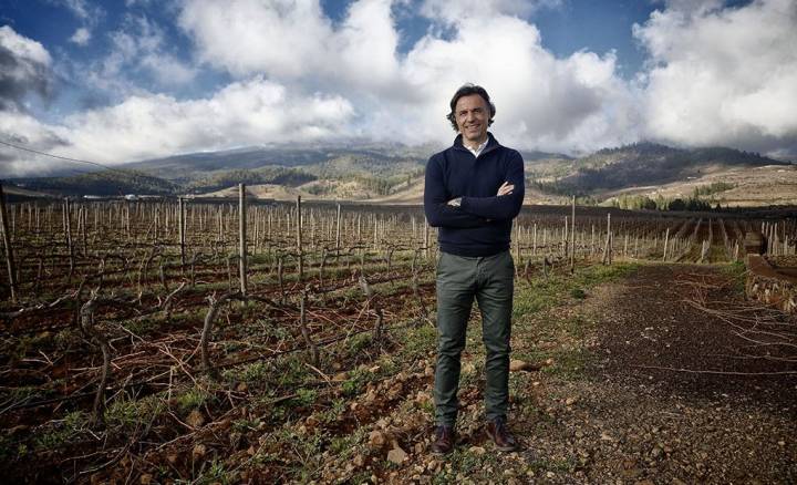 Altos de Trevejos: Enrique Alfonso en las viñas