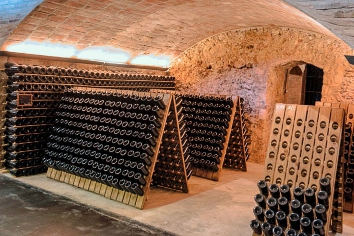 Vins Familia Ferrer: pupitres de la bodega de Can Sala