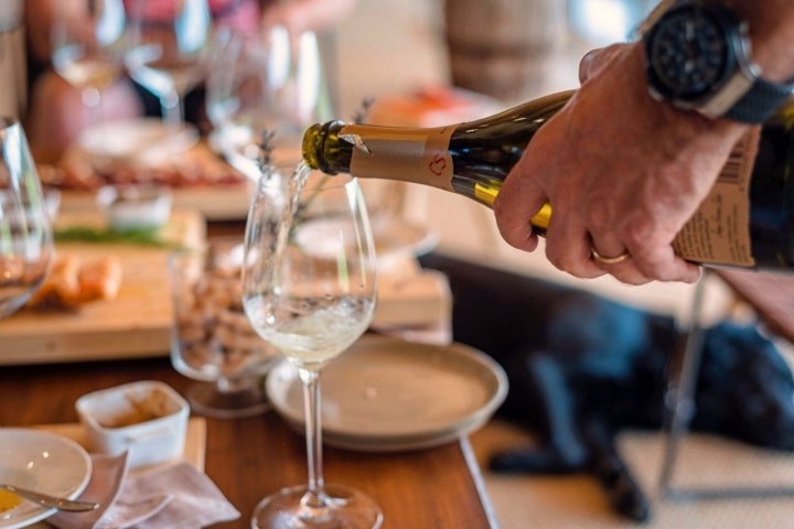 Vins Familia Ferrer: sirviendo una copa de cava 'Can Sala'