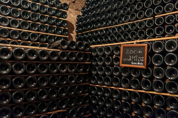 Vins Familia Ferrer: cava de Can Sala